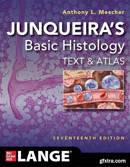 Junqueira\'s Basic Histology: Text and Atlas, 17th Edition