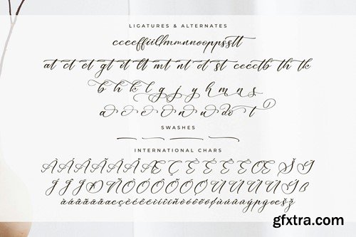 Majestican Calligraphy Font YFAC6YV