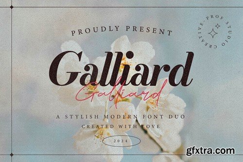 Galliard - Elegant Script Font Duo SSSS369