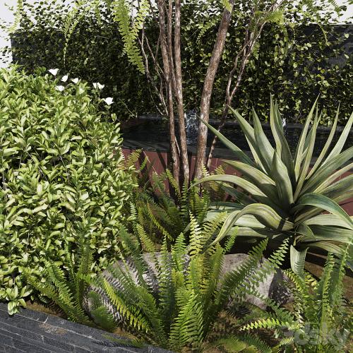 Water Ponds With Plants & fish