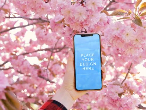 Phone Mockup Template on the Spring Blossom Sakura