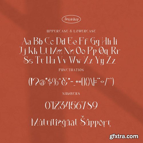 Anguishop - Modern Classy Serif Font 6CBLEYG