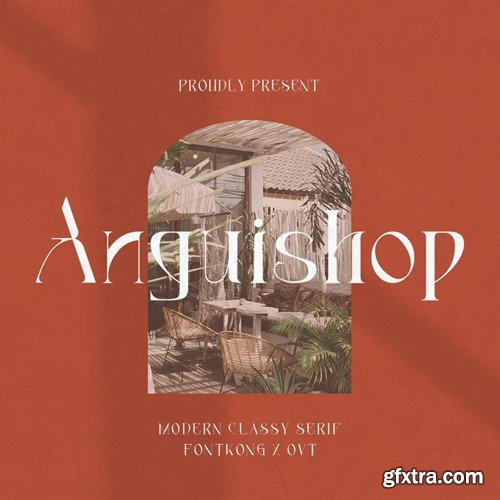 Anguishop - Modern Classy Serif Font 6CBLEYG