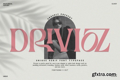 Drivioz - Unique Serif Typeface Font A6YCF53