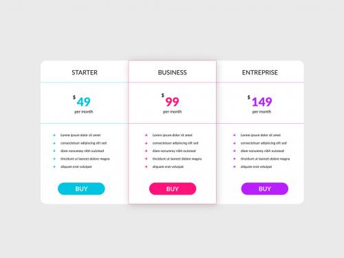 Simple Subscription Plan Infographic Layout