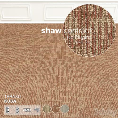 Shaw Carpet Terasu Kusa Wall to Wall Floor No 2