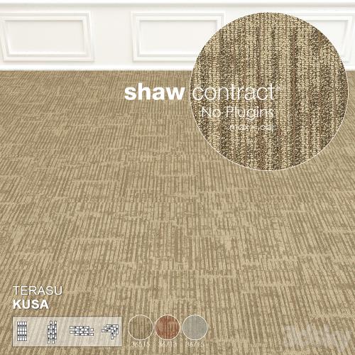 Shaw Carpet Terasu Kusa Wall to Wall Floor No 2