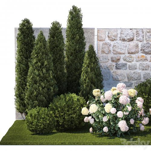 Collection of plants garden with bushes and trees for landscape design with thuja, cypress, flowering Hydrangea white. Set 1378.