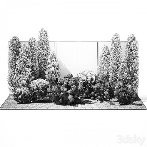 Collection of plants garden with bushes and trees for landscape design with thuja, cypress, flowering Hydrangea white. Set 1378.