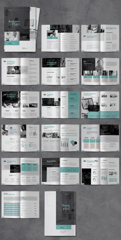 Business Plan Brochure with Blue Accents
