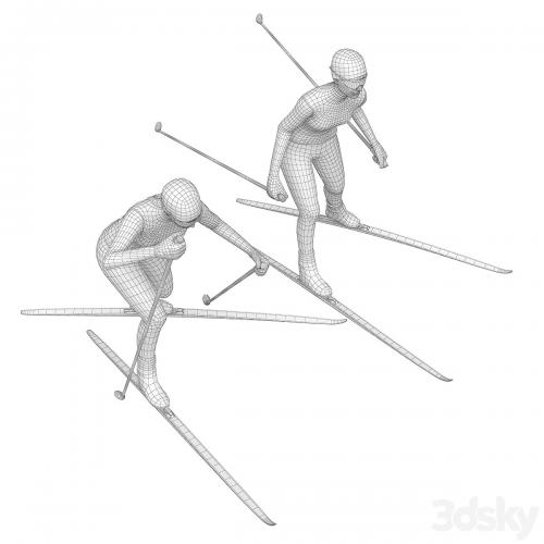 Female skier. Skate skiing