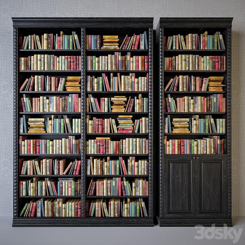 Cabinets with classical books