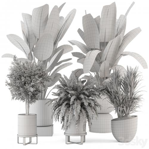 Indoor Plants in rusty Concrete Pot - Set 1167