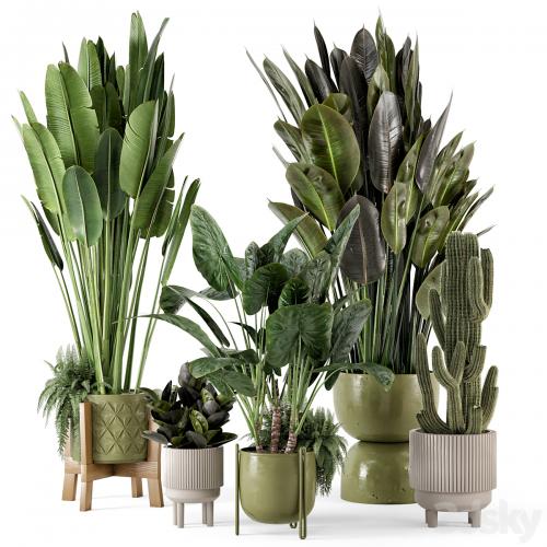 Indoor Plants in Standing Legs Small Bowl Concrete Pot - Set 563