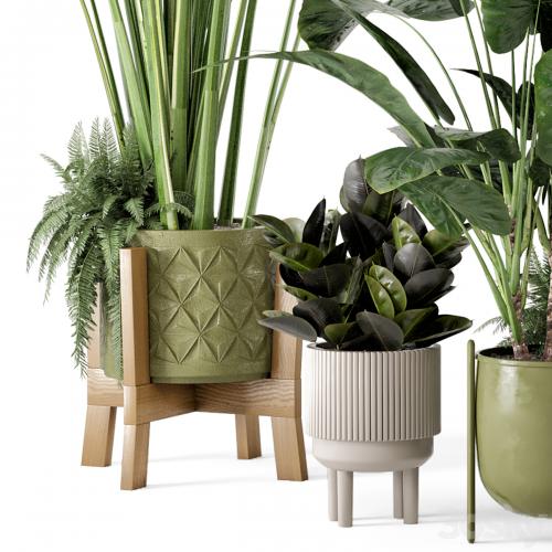 Indoor Plants in Standing Legs Small Bowl Concrete Pot - Set 563