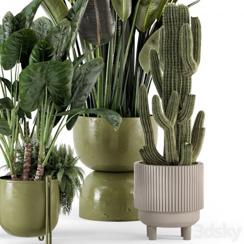 Indoor Plants in Standing Legs Small Bowl Concrete Pot - Set 563