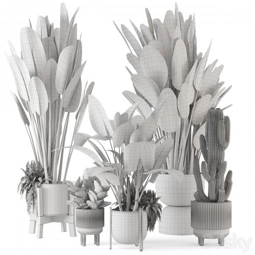 Indoor Plants in Standing Legs Small Bowl Concrete Pot - Set 563