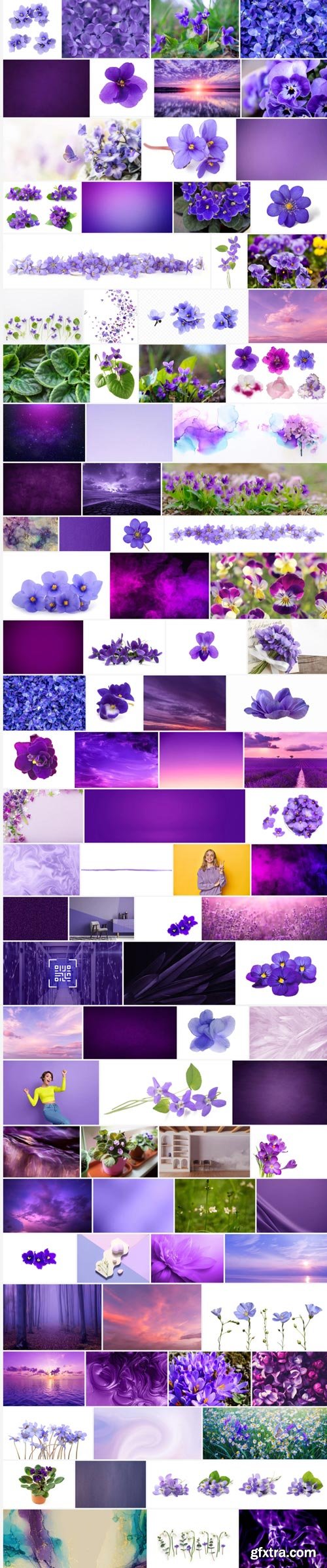 Amazing Photos, Violet 100xJPEG