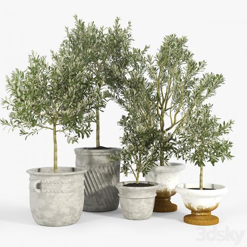 Eclectic Villa Planters