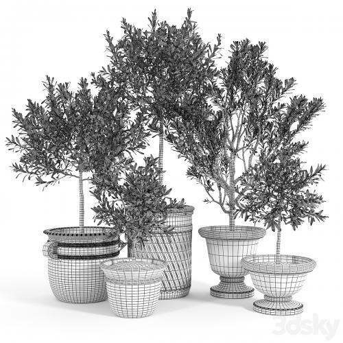 Eclectic Villa Planters