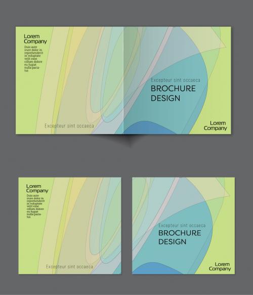 Brochure Cover Layout with Abstract Overlapping Pastel Transparent Shapes