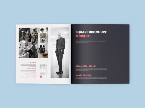 Square Brochure Open