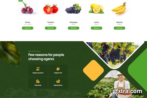 Themeforest - Ogenix - Organic Food Store Elementor Template Kit 51546560 v1.0.0 - Nulled