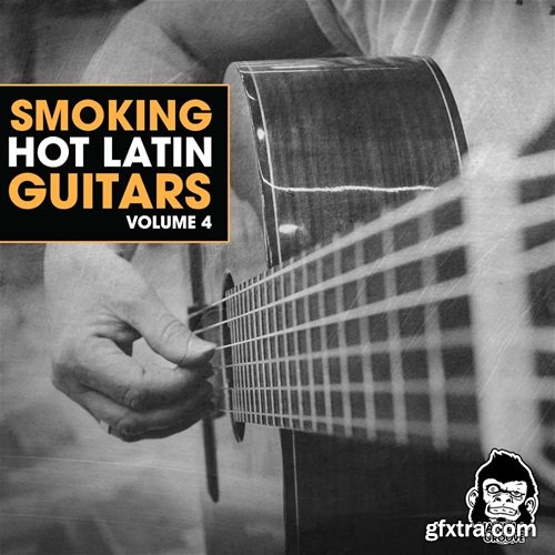 Vanilla Groove Studios Smoking Hot Latin Guitars Vol 4