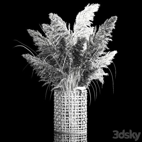 Bouquet of white dried flowers in a wicker basket, reeds, pampas grass, Cortaderia. 256.