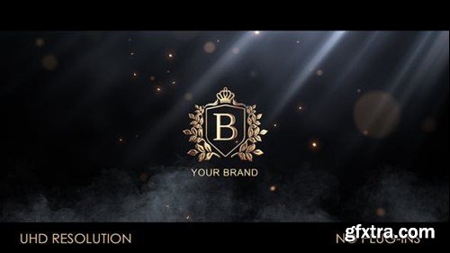 Videohive Particle Flow Logo Reveal 52029847