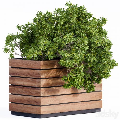 Plant Box Green & Wood