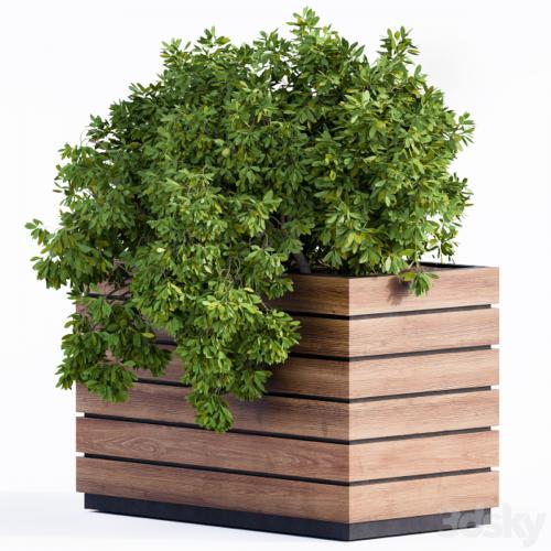 Plant Box Green & Wood