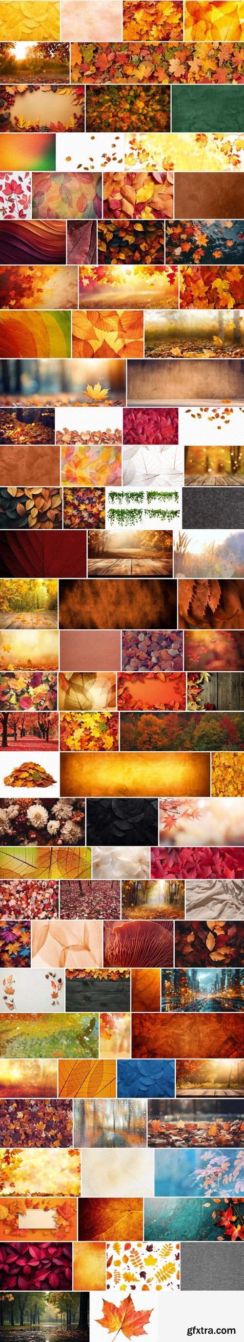 Amazing Photos, Autumn Texture 100xJPEG