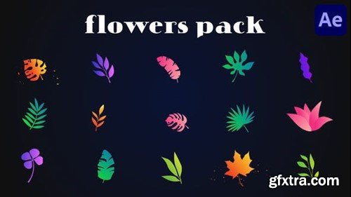 Videohive Colorful Flowers Pack for After Effects 51999712