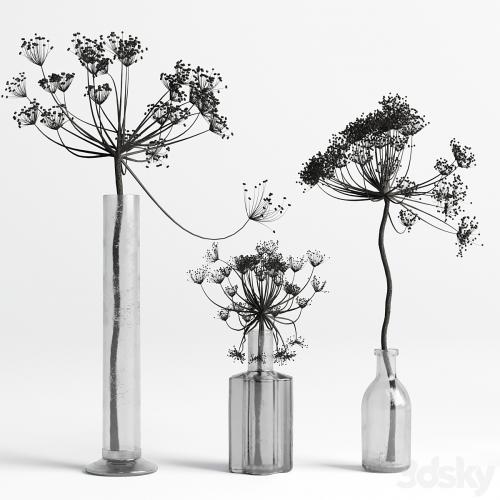 Bouquet Set 01 Vase Glass Dry Hogweed