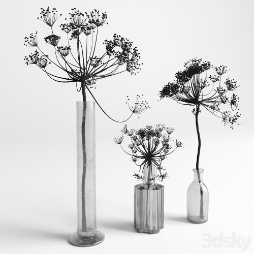 Bouquet Set 01 Vase Glass Dry Hogweed