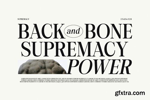 Back Bone Melavita Family Serif Font Text LBPRTU5