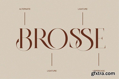 BROSSE Classy Ligature Serif 6ELFFRU