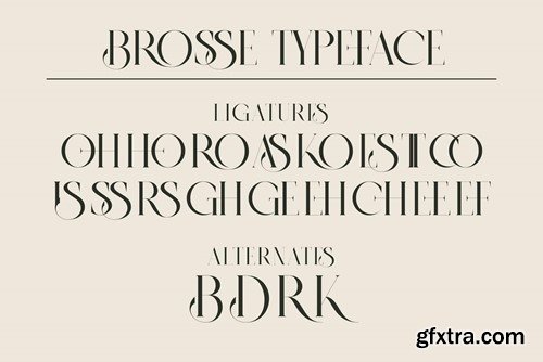 BROSSE Classy Ligature Serif 6ELFFRU