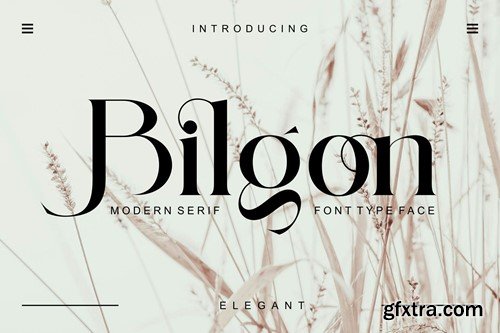 Bilgon Modern Serif Typeface 5ZT7QCY