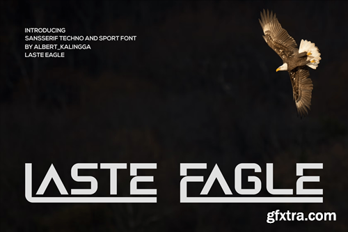 Laste Eagle Font 65MXV3A