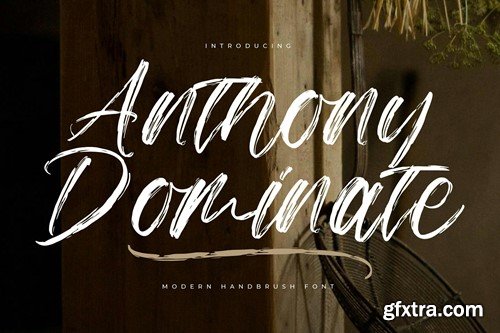 Anthony Dominate Modern Handbrush Font LMR6BGF