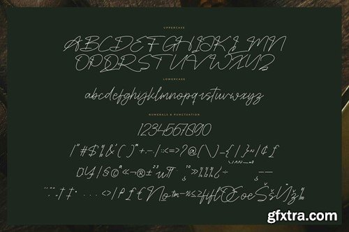 Fasthine Brooks Monoline Signature Font 9YQ9QRK