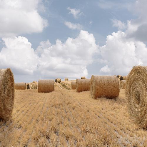 Farm field with hay bale