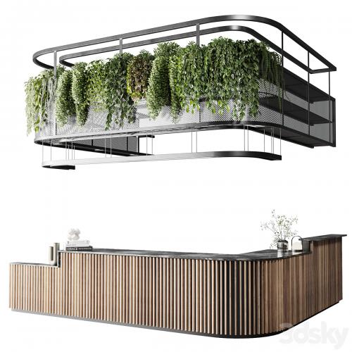 Coffee shop reception, Restaurant counter by hanging plant - 03