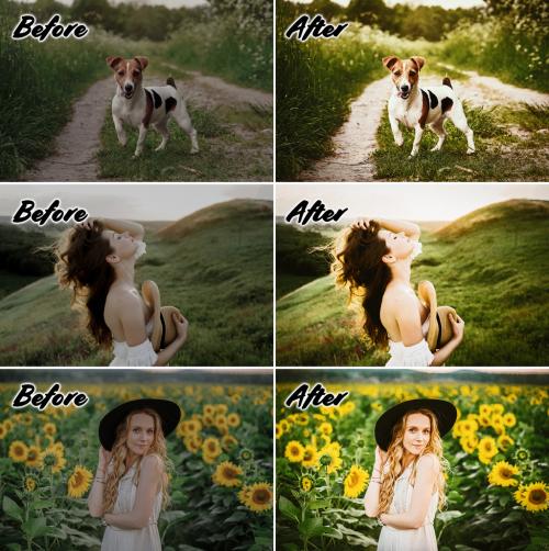 Before and After Photo Effect