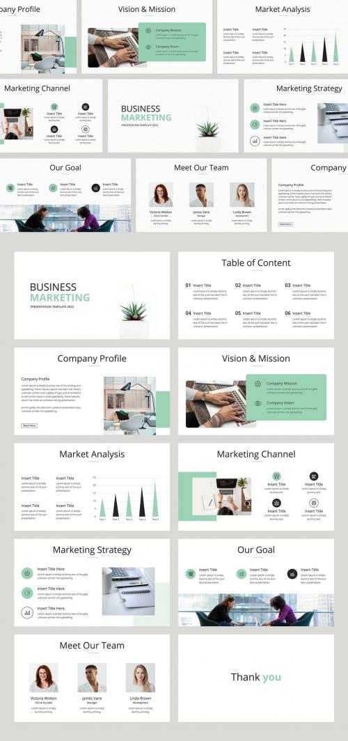 Business Marketing Presentation