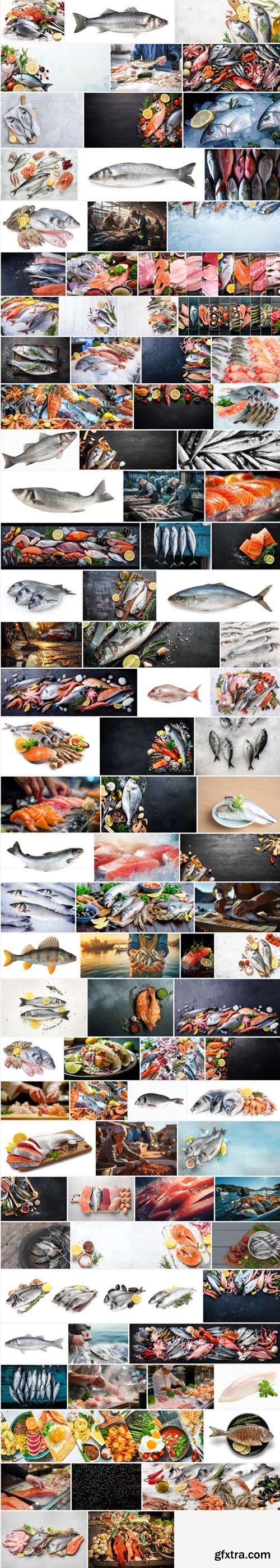 Amazing Photos, Fresh Fish 100xJPEG