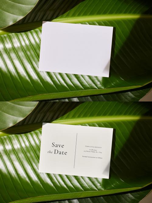 A6 Horizontal Postcard Mockup on Green Leaf Background