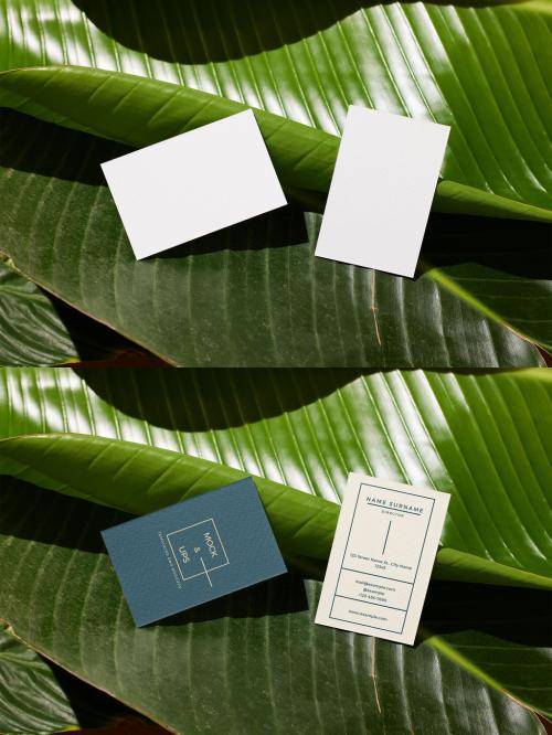 Two Vertical Business Card Mockup Over Green Leaves